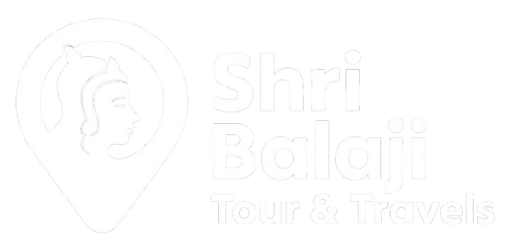 Shree Balaji Travel & Tour Agency professional team providing expert travel solutions in Muzaffarpur